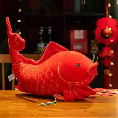 40cm60cm