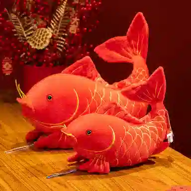 40cm60cm