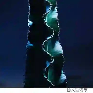 DIOR 50ml+100ml+125ml