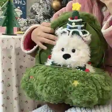 OU DI PIG 20cm22cm45cm