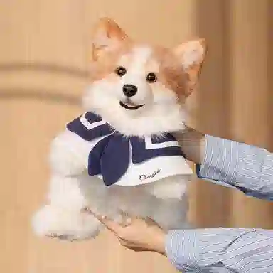 Chongker 50cm