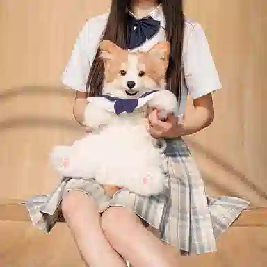 Chongker 50cm