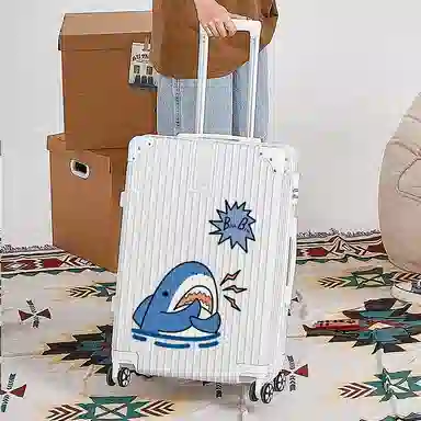 Zecedo ABS+PC 2022242628