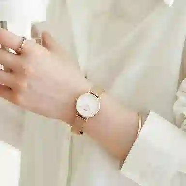 Daniel Wellington28mm DW DW00100219