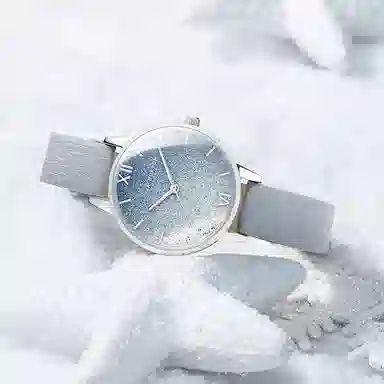 OLIVIABURTON 30 OB16US27