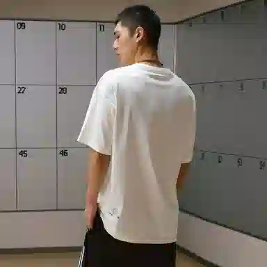 VEIDOORN x POKEMON T