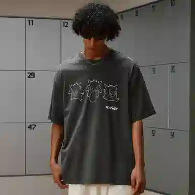 VEIDOORN x POKEMON T