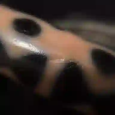 COUMILA