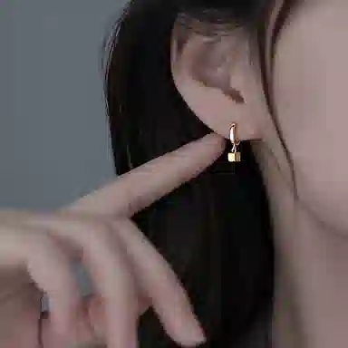 ins S999