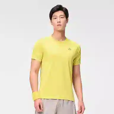 PELLIOT T