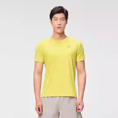 PELLIOT T