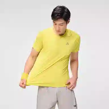 PELLIOT T