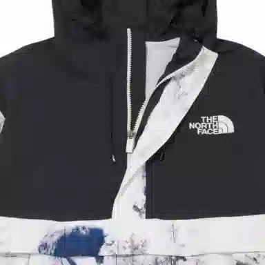 The North Face Novelty Dalton Anorak