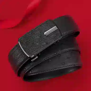 PIERRE CARDIN 3.45CM