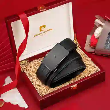 PIERRE CARDIN logo 3.45CM