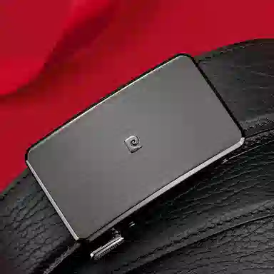 PIERRE CARDIN logo 3.45CM