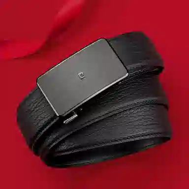 PIERRE CARDIN logo 3.45CM