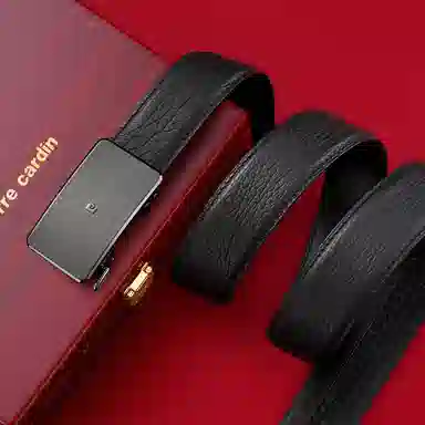 PIERRE CARDIN logo 3.45CM