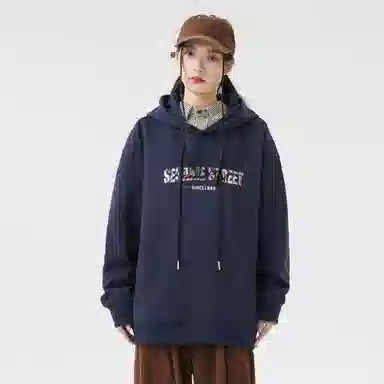 Sesame Street Hoodie