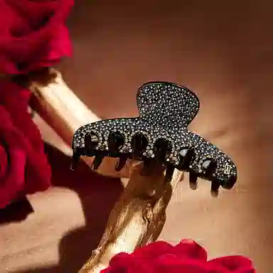 ALEXANDRE DE PARIS 04