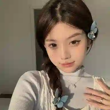 零界 蝴蝶渐变灰蓝 透明宫廷风 法式优雅气质森系发饰 树脂 发夹 女款