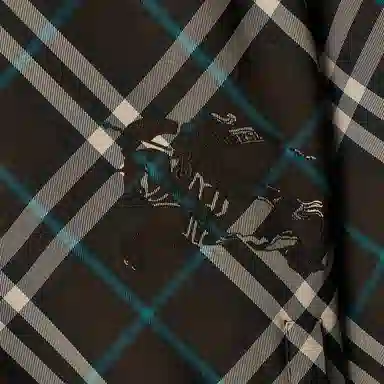 Burberry Hooded Jacket Brown