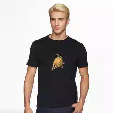 Automobili Lamborghini logoT