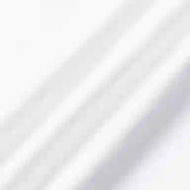 EMPORIO ARMANI SS22 LogoT