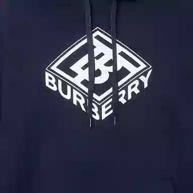 Burberry FW22 Logo 80466171