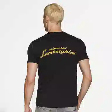 Automobili Lamborghini logoT