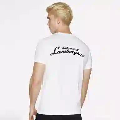 Automobili Lamborghini logoT