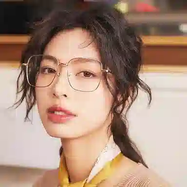 Seiko Optical Glasses Silver