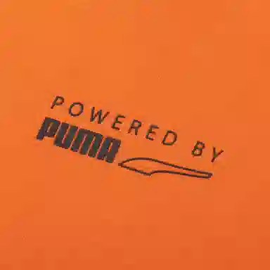 PUMA Protec.t Hoodie