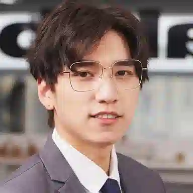 Seiko Optical Glasses Silver