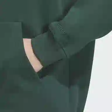 adidas originals GRAPHIC HOODIE