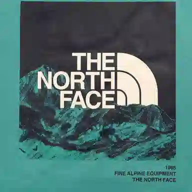 THE NORTH FACE SS22 Logo
