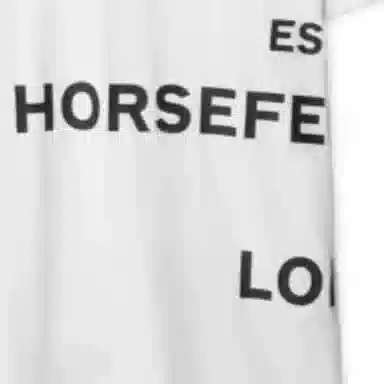 Burberry Logo Print T-Shirt White