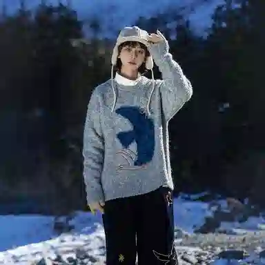 Saotome Seagull Sweater
