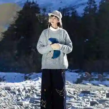 Saotome Seagull Sweater