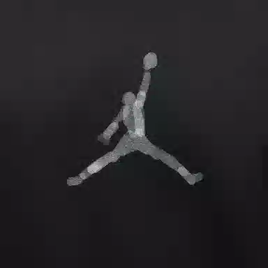 Jordan Brand T