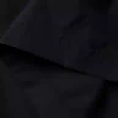 Alexander McQueen SS21