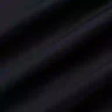 Alexander McQueen SS21