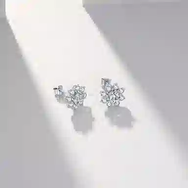 ins 925