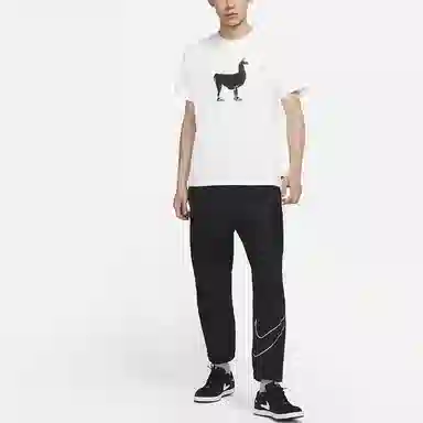 Nike SB T