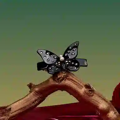 ALEXANDRE DE PARIS 6