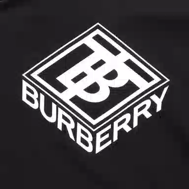 Burberry 3D