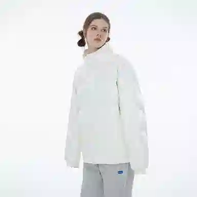 ICONS Lab Pu