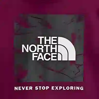 THE NORTH FACE