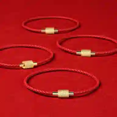 灰鱼 十二生肖红绳新中式国潮蛇年本命年转运简约高级感轻奢复古个性手工编织绳编制穿串珠子叠戴好运 合金 手链 男女同款情侣款