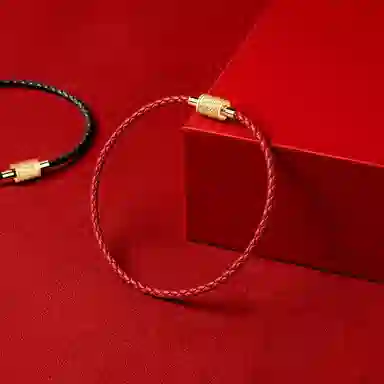 灰鱼 十二生肖红绳新中式国潮蛇年本命年转运简约高级感轻奢复古个性手工编织绳编制穿串珠子叠戴好运 合金 手链 男女同款情侣款